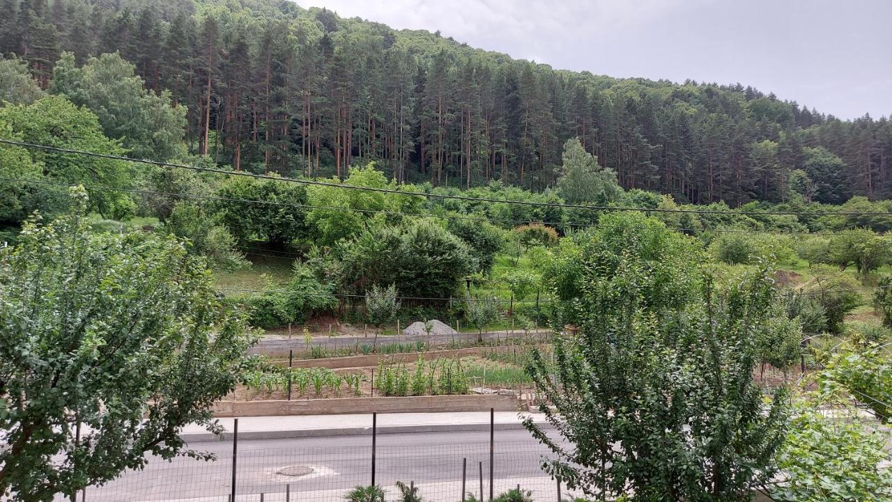 Forest Apartment Sapareva Banja Eksteriør bilde